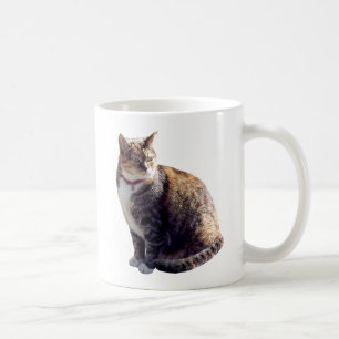 Tortoiseshell Cat Coffee Mug