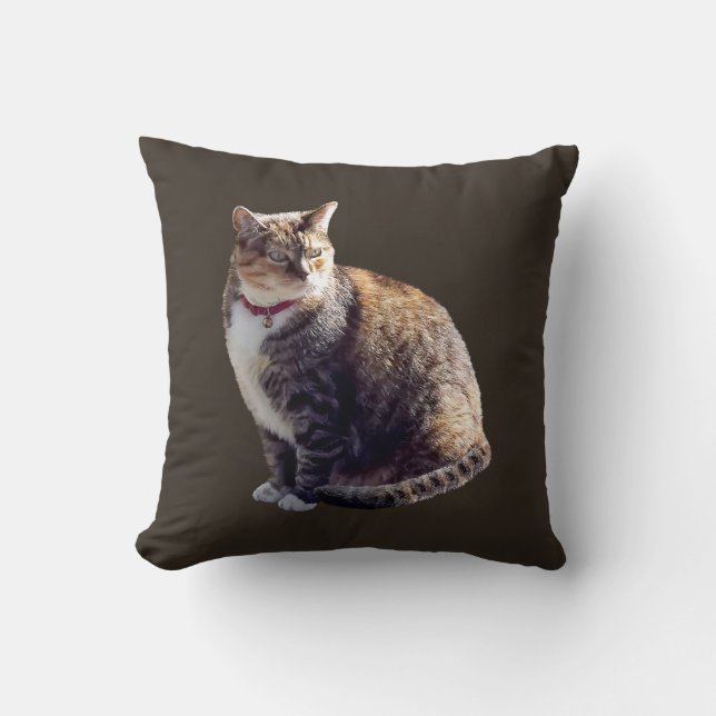 Tortoiseshell Cat Cushion (Front)