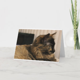 Tortoiseshell cat greeting card- blank inside card