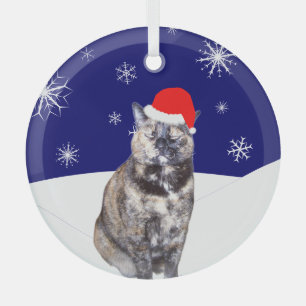 Tortoiseshell Cat in Santa Hat with Snowy Hills   Glass Tree Decoration