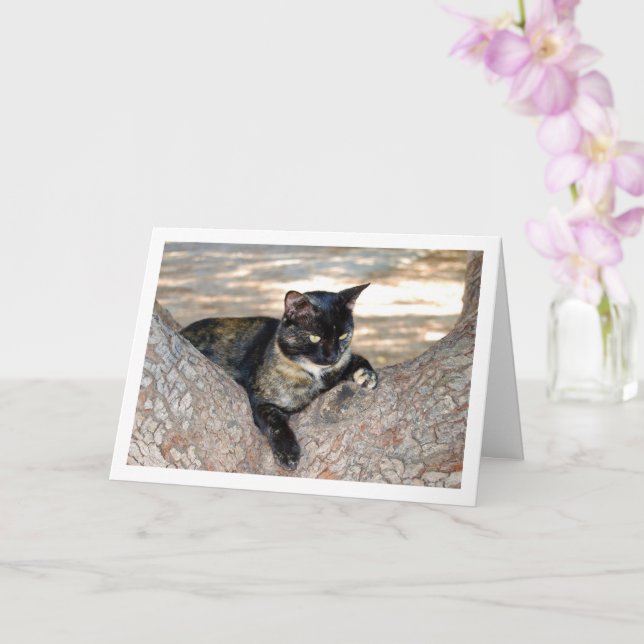 Tortoiseshell Cat in Tree Card (Orchid)