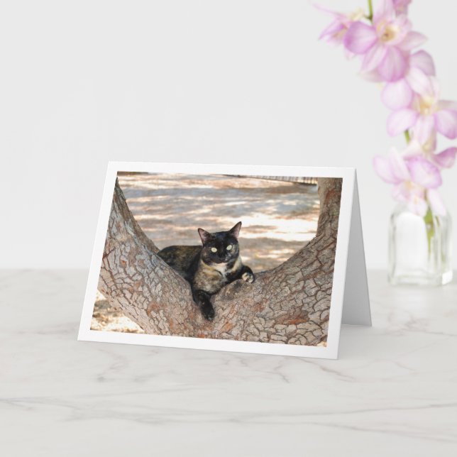 Tortoiseshell Cat in Tree Card (Orchid)