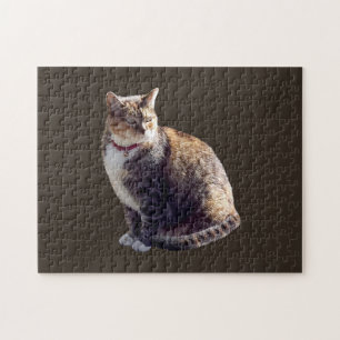 Tortoiseshell Cat Jigsaw Puzzle