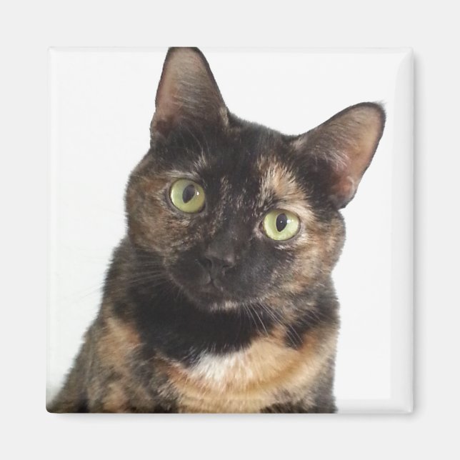 Tortoiseshell Cat Magnet (Front)
