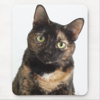 Tortoiseshell Cat Mouse Mat