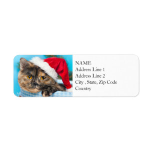 Tortoiseshell Cat Purr-fect Holiday Season