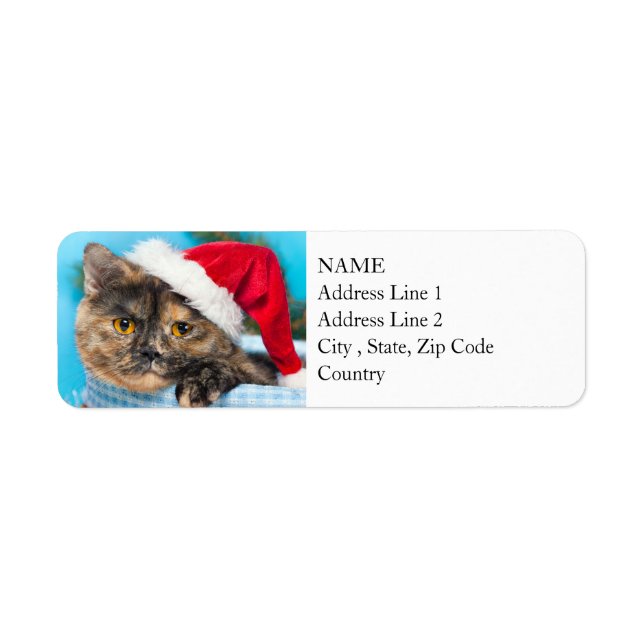 Tortoiseshell Cat Purr-fect Holiday Season (Front)