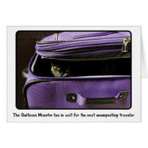 Tortoiseshell Cat/ Suitcase Monster