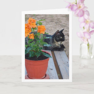 Tortoiseshell Cat with Firecracker Flowers Card