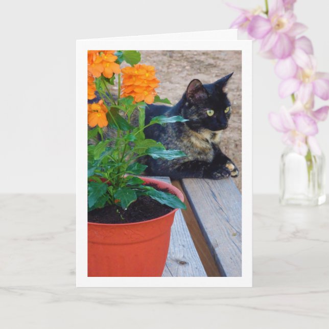 Tortoiseshell Cat with Firecracker Flowers Card (Orchid)