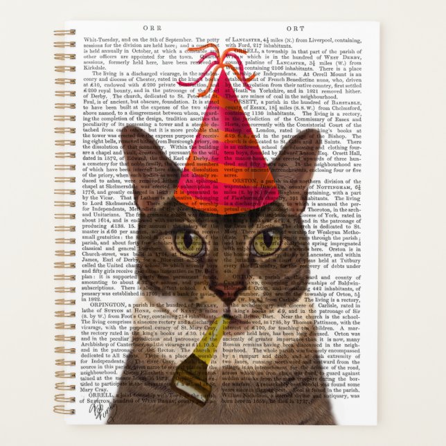 Tortoiseshell Cat with Party Hat Planner (Front)