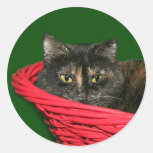 Tortoiseshell Christmas Classic Round Sticker