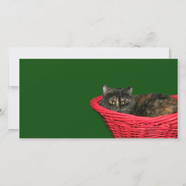 Tortoiseshell Christmas Holiday Card (Front)