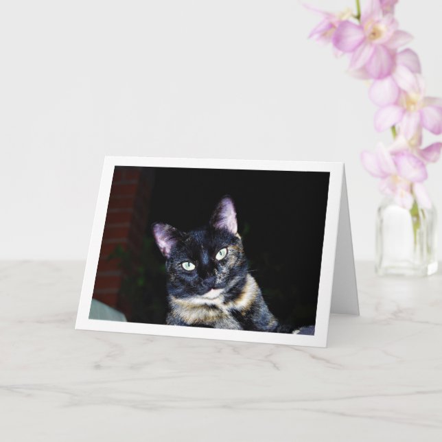 Tortoiseshell Kitten Portrait Card (Orchid)