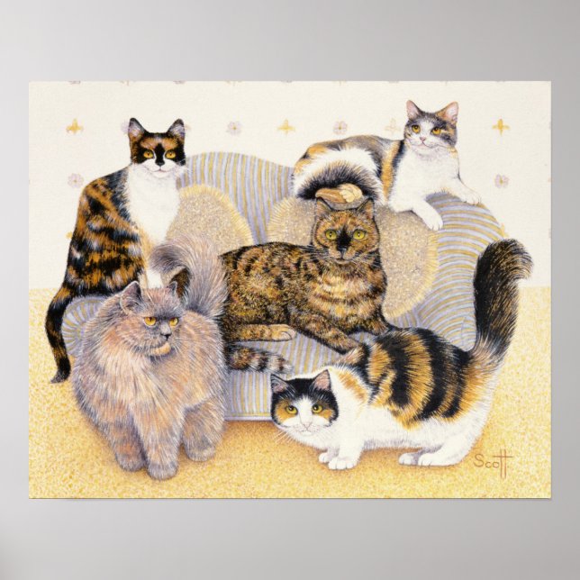 Tortoiseshell Ladies Poster (Front)