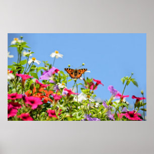 tortoiseshell on petunia flowers with blue sky poster
