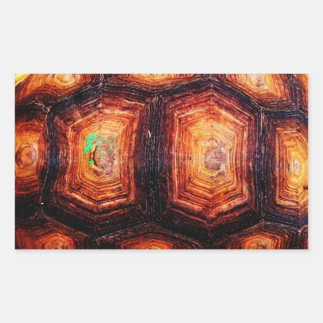 Tortoiseshell Rectangular Sticker (Front)