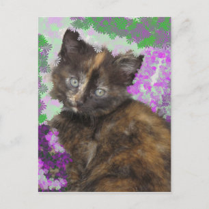 Tortoisshell Kitten in Gree and Purple Flowers Postcard