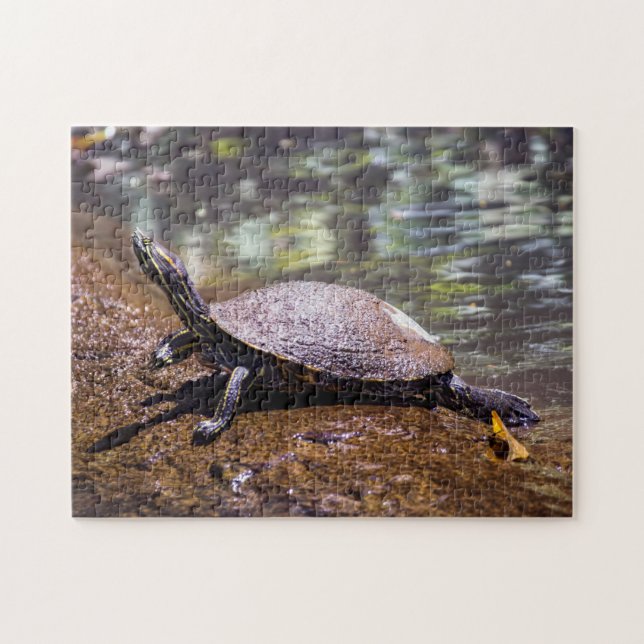 Tortuguero - Yellow-bellied slider Turtle Jigsaw Puzzle (Horizontal)