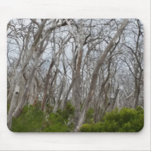 Tortured Trees Mouse Mat