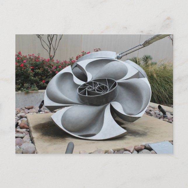 Torus Orbicularis - DFW Airport # 1 Postcard (Front)