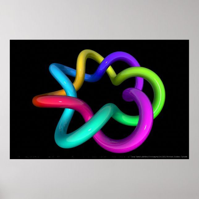 Torus Twist II Poster (Front)