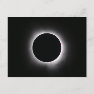 Total Solar Eclipse April 8, 2024 Postcard