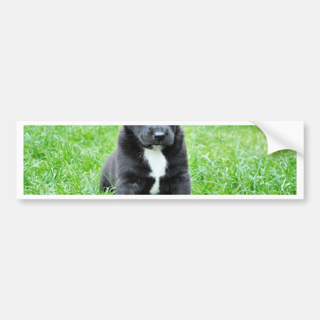 Totally Adorable Puppy Bumper Sticker (Front)