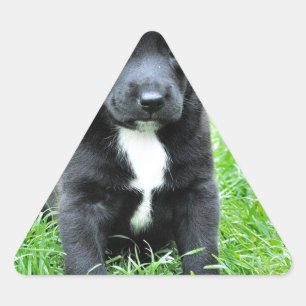 Totally Adorable Puppy Triangle Sticker
