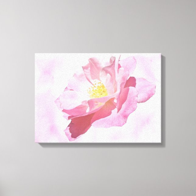 Totally Pink Cultivated Rose Blossom Canvas Print (Front)