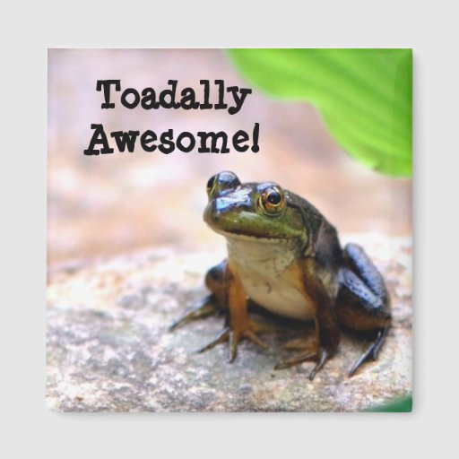 Totally ( Toadally) Awesome! Refrigerator Magnet | Zazzle