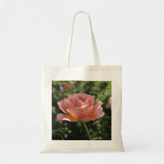 Tote with Darby Rose Bag