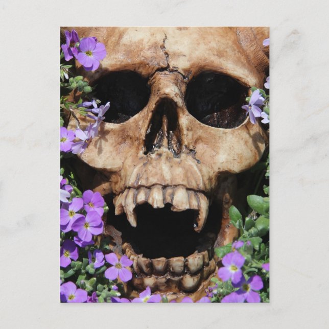 Totenkopf - Gothic / Postkarte Postcard (Front)