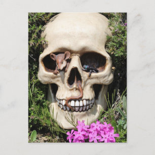 Totenkopf - Gothic / Postkarte Postcard