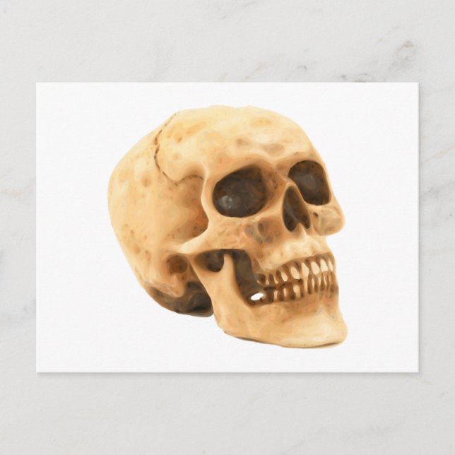 Totenkopf Schädel skull Postcard (Front)