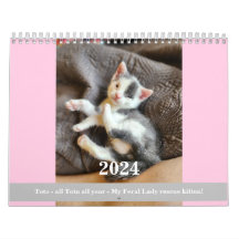 Toto Kitten (My Feral Lady rescue) 2024 Calendar