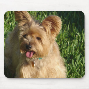 Toto Mouse Mat