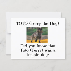 Toto (Terry the Dog) Postcard