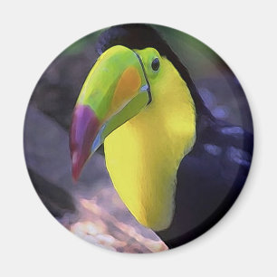 Toucan 1 magnet