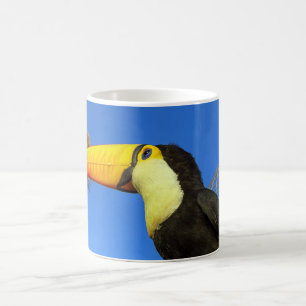 Toucan Bird Coffee Mug