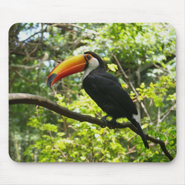 toucan, bird, exotic mouse mat (Front)