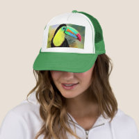 Toucan Bird Trucker Hat Toco