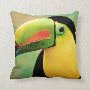 Toucan Bird Wild Nature Colourful Photography Cushion