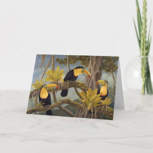 Toucan Card
