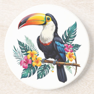 toucan coaster