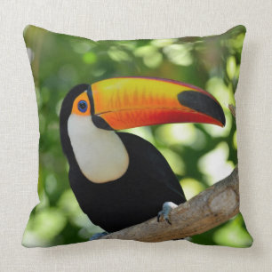 Toucan Cushion