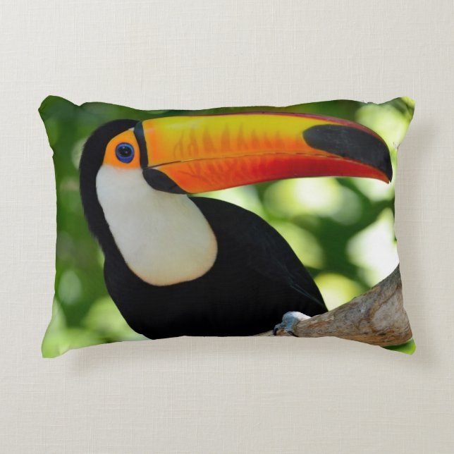 Toucan Decorative Cushion (Front)