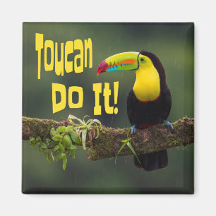 Toucan Do It! Colourful Bird Motivational Funny Pu Magnet