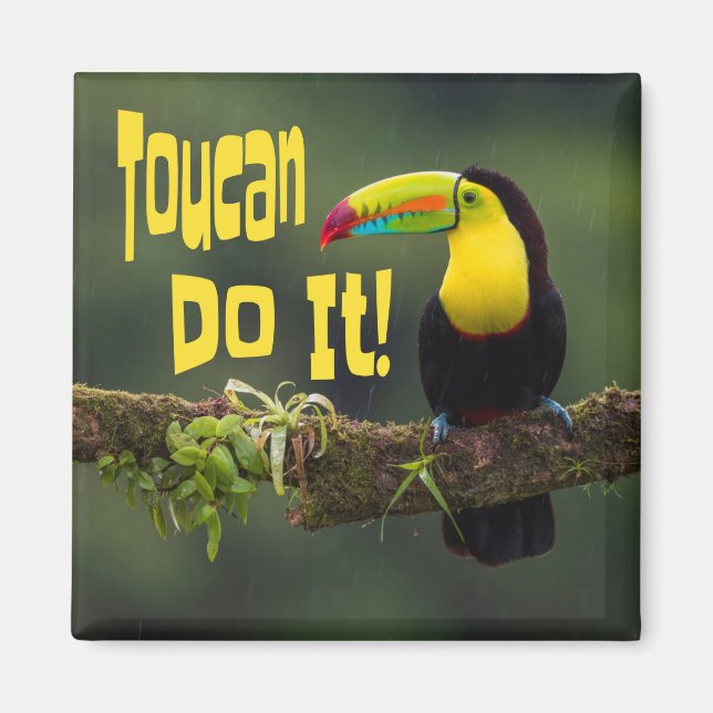 Toucan Do It! Colourful Bird Motivational Funny Pu Magnet (Front)