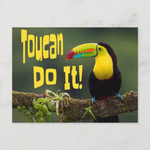 Toucan Do It! Colourful Bird Motivational Funny Pu Postcard
